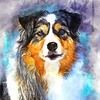 showdog2